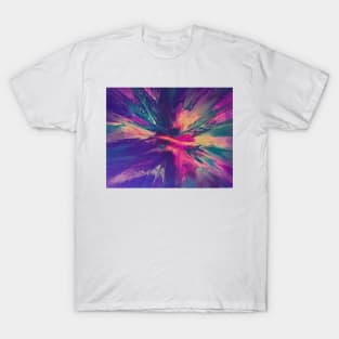 Burst of colour T-Shirt